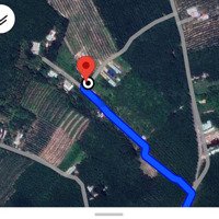 Bán Đất Tại Phước Sang, 790 Triệu, 371 M2, Giá Cực Chất