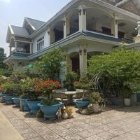 Mặt tiền Nguyễn Thái Học, Tân Đông Hiệp, Dĩ An, Biệt thự và nhà xưởng, 3250m, giá 75 tỷ.