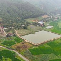 Bán Trang Trại, Khu Nghỉ Dưỡng Tại Tu Vũ, Thanh Thủy, Phú Thọ, 11 Tỷ, 10000 M2