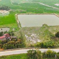 Bán Trang Trại, Khu Nghỉ Dưỡng Tại Tu Vũ, Thanh Thủy, Phú Thọ, 11 Tỷ, 10000 M2