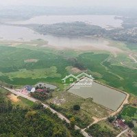Bán Trang Trại, Khu Nghỉ Dưỡng Tại Tu Vũ, Thanh Thủy, Phú Thọ, 11 Tỷ, 10000 M2