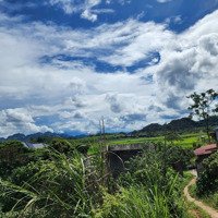 - Lô Đất 3 Mặt Tiền Đường Hiện Trạng 8M, Đất Bằng Phẳng