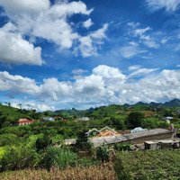 - Lô Đất 3 Mặt Tiền Đường Hiện Trạng 8M, Đất Bằng Phẳng