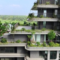 List Hàng Chuyển Nhượng Onsen Lamark Giá Tốt Nhất Hiện Tại T5