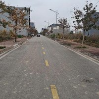 Chào Bán Lô Biệt Thự 34Lk02 180M2 Tđc Áp Tràn Bắc Sông Cấm- P. Dương Quan -Tp Thủy Nguyên. Giá 7,5