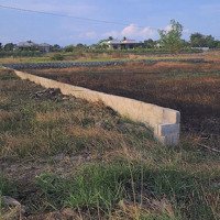 Ngang 21M Nở Hậu 28M. Mặt Tiền 719,Đối Diện Trường Tiểu Học Tân Thuận 3. Cách Biển 500M Giá Ngộp
