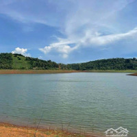 Cần Bán Mảnh Vườn Sầu Riêng View Giáp Hồ Nước Tại Tp Gia Nghĩa Đắk Nông (Lâm Đồng) Chỉ 1.39 Tỷ