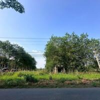 BÁN ĐẤT QUY HOẠCH SKC LONG TÂN DẦU TIẾNG BÌNH DƯƠNG