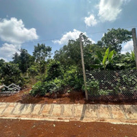 Bán ( 6X46 ) Lô Đất Đường Nhựa Qh 22,5M Phường Đạt Hiếu Thị Xã Buôn Hồ
