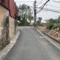 Bán Gấp 58.9M Vị Trí Đẹp Lương Nỗ - Đông Anh Cách 100M Ra Ql3 , Sầm Uất Giá Lại Hợp Lý