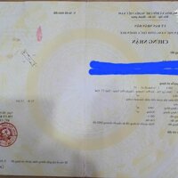 Đất Lại Thế , gần Tỉnh Lộ 10. Giá Rẻ
