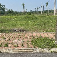 Bán Đất Đấu Giá X1, Tam Đồng, Mê Linh, Hà Nội, 51 Triệu / M2, 112 M2