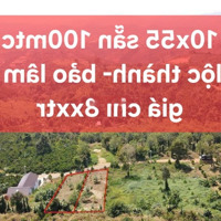 Chỉ 850 Triệu Anh Chị Đã Sở Hữu Đc 1Ô Đất 550M2 Sẵn 100Mtc View Toàn Cảnh Thành Phố Bảo Lộc