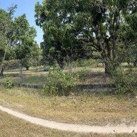 Bán Đất Đại Hàn, 15 Tỷ, 7585 M2, Cam Đức, Cam Lâm, Khánh Hòa, Đẹp, Nhiều Tiện Ích