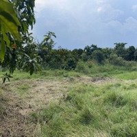 Bán Đất Đại Hàn, 15 Tỷ, 7585 M2, Cam Đức, Cam Lâm, Khánh Hòa, Đẹp, Nhiều Tiện Ích