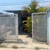 Bán Nhà Cấp 4 Sân Vườn Diên Phúdiện Tích138M2 Có Thổ Cư, Gần Sông Mát Mẻ, Kdc An Ninh, Giá Bán 1Ty 250 Triệu