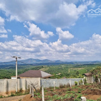 Bán Đất Sẵn Thổ Cư 100M2 Tổng Diện Tích 1.091M2