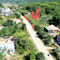 Bán Đất Tại Quốc Lộ 217, 420 Triệu, 143 M2 Giá Ưu Đãi