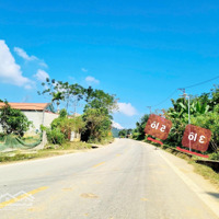 Bán Đất Tại Quốc Lộ 217, 420 Triệu, 143 M2 Giá Ưu Đãi