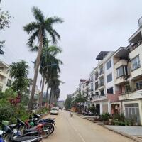 CHO THUÊ NHÀ MẶT PHỐ SHOPHOUSE 80M2, 4.5TẦNG, 6PN TRỤC CHÍNH KĐT TÂN TÂY ĐÔ, ĐAN PHƯỢNG