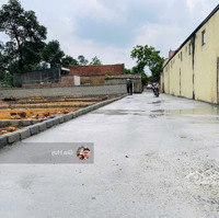 Bán Đất 84M2 Tại Xã Hoàng Văn Thụ, Chương Mỹ, Hà Nội, Giá Cực Chất 1,85 Tỷ