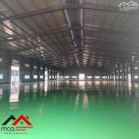 Cho thuê xưởng 7000m² Thuận An Bình Dương, PCCC đầy đủ, điện 560kVA, giá tốt.Liên hệ: Chothuexuongmiennam.com - 0366632092
