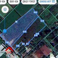 Bán đất Chánh Mỹ Thủ Dầu Một Bình Dương, 4.800m², giá 12tr/m², tiềm năng cao. Liên hệ: Chothuexuongmiennam.com - 0366632092