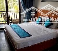 Bán villa ttrung tâm phố cổ Hội An, view lúa cực đẹp