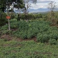 Bán Đất Ở Đường Ql29 Kp10 Thị Trấn Hai Riêng, Mặt Tiền