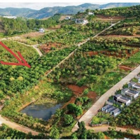 Bán Lô Mê Linh 4450M2 Có 1000M2 Ont, Mặt Tiền 60M, Đối Diện Kdl Cà Phê Mê Linh Liên Hệ: 0901.001.456
