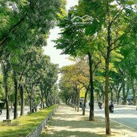 Hiếm + Duy Nhất! Kim Mã 200M2X5Tmặt Tiền10M Bán Giá Đất Cực Rẻ