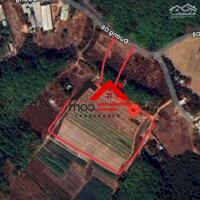 Bán đất 15.172m² Vĩnh Tân, Tân Uyên, Bình Dương – 12.500m² SKC, có GPXD, GPMT, PCCC, giá 3.5tr/m². Liên hệ: Chothuexuongmiennam.com - 0366632092