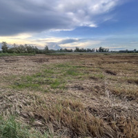 Bán 1000M2 Lúa Thuộc Phường Khánh Hậu , Tp Tân An , Cách Đường Vành Đai 150M , Đường Hiển Thị