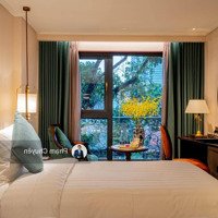 Bán Nhà Ngụy Như Kon Tum, Phân Lô Ô Tô, Mặt Tiền Rộng, Thiết Kế Thang Máy, 58M2, Nhỉnh 18 Tỷ
