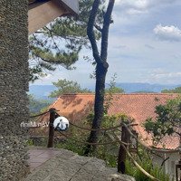 Biệt Phủ Đống Đa 2800M2, Viên Kim Cương Vô Giá Vị Trí Độc, Di Sản Truyền Đời Tp Đà Lạt 310 Tỷ