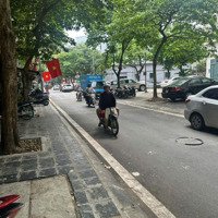 Dòng Tiền 9 Phòng Khép Kín - Trung Tâm Cầu Giấy - Ô Tô Tránh 40M2 - 12 Tỷ
