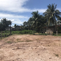 Bán Đất Trần Tôn Thất, 1,4 Tỷ, 253M2, Hoài Nhơn, Bình Định, Giá Cực Chất
