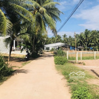 Bán Đất Trần Tôn Thất, 1,4 Tỷ, 253M2, Hoài Nhơn, Bình Định, Giá Cực Chất