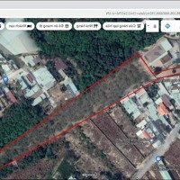 Bán Đất 5700M2 Cây Lâu Năm Ngang 32M Dài 220M. Đường 6M Bao Lên Nhựa Cách Đường Đx-042 30M