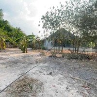 Bán Đất 5700M2 Cây Lâu Năm Ngang 32M Dài 220M. Đường 6M Bao Lên Nhựa Cách Đường Đx-042 30M