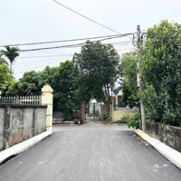 Chính Chủ Gửi Bán Đất Tổ 6 Hòa Nghĩa, Dương Kinh Ngõ Rộng 5M Chỉ 9Xx Tr - Diện Tích: 51,8M2 Ng