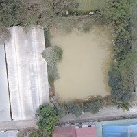 Bán 3 Sào Đất Trang Trại Tại Cấn Hữu, Đường Bê Tông Vào Tận Đất Sẵn Nhà Trại Cũ