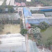Bán 3 Sào Đất Trang Trại Tại Cấn Hữu, Đường Bê Tông Vào Tận Đất Sẵn Nhà Trại Cũ