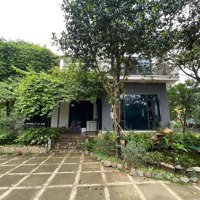 Chuyển Nhượng Khuôn Viên Nhà Vườn Vila Hometay Tại Đất Đỏ Liên Sơn :Diện Tích1530M /400M Thổ Cư