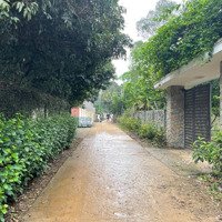 Chuyển Nhượng Khuôn Viên Nhà Vườn Vila Hometay Tại Đất Đỏ Liên Sơn :Diện Tích1530M /400M Thổ Cư