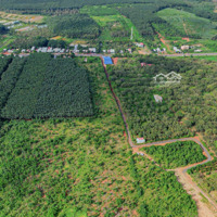 Cần Bán 16.8Ha Mặt Tiền Ql14, Xã Đồng Tiến, Huyện Đồng Phú.