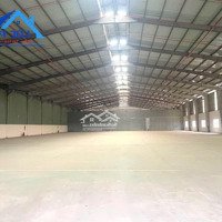 X326
Cho Thuê Xưởng 3.628M2 Trong Kcn Tam Phươc, Tp Biên Hoà,, Đồng Nai Giá 4,2Usd/M2