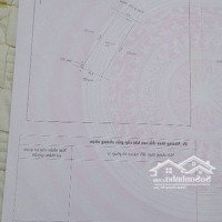 Bán Đất Đt 535, Nghi Xuân, Nghi Lộc, Nghệ An, 8,3 Tỷ, 228 M2, Mặt Tiền 8,17M Nở Hậu. Hot!