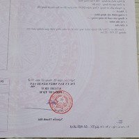 Bán Đất Đt 535, Nghi Xuân, Nghi Lộc, Nghệ An, 8,3 Tỷ, 228 M2, Mặt Tiền 8,17M Nở Hậu. Hot!