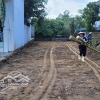 Bán Đất Đt 535, Nghi Xuân, Nghi Lộc, Nghệ An, 8,3 Tỷ, 228 M2, Mặt Tiền 8,17M Nở Hậu. Hot!